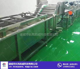 諸城市華都機械 江西海鮮翻浪清洗設(shè)備