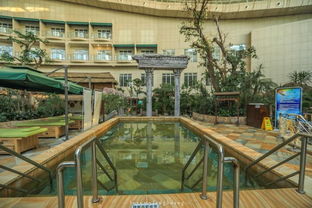 吹著海風，泡著溫泉，這個夏天有點不一樣 人工造浪設備的奇妙體驗